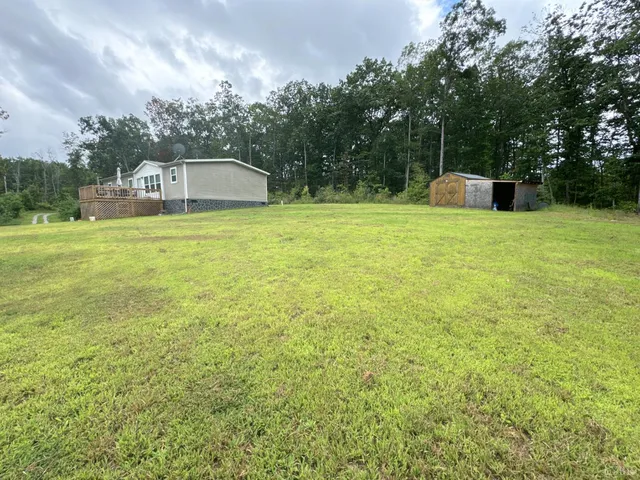 a front view of a house with a yard and a tree