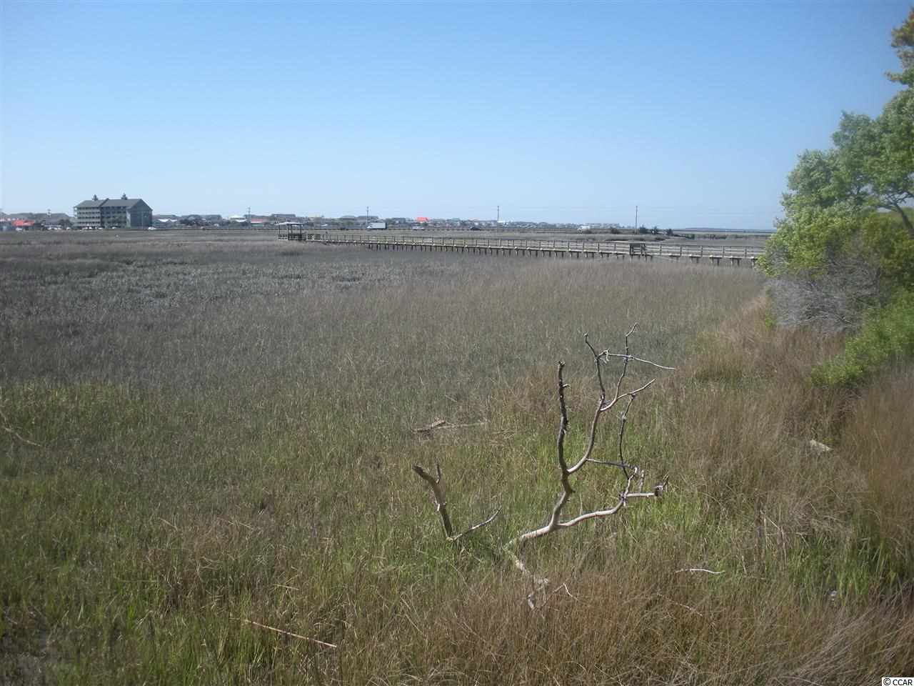 Lot 5 1st Street Murrells Inlet, SC 29576 - Photo 11 of 25 Gallery Image 11