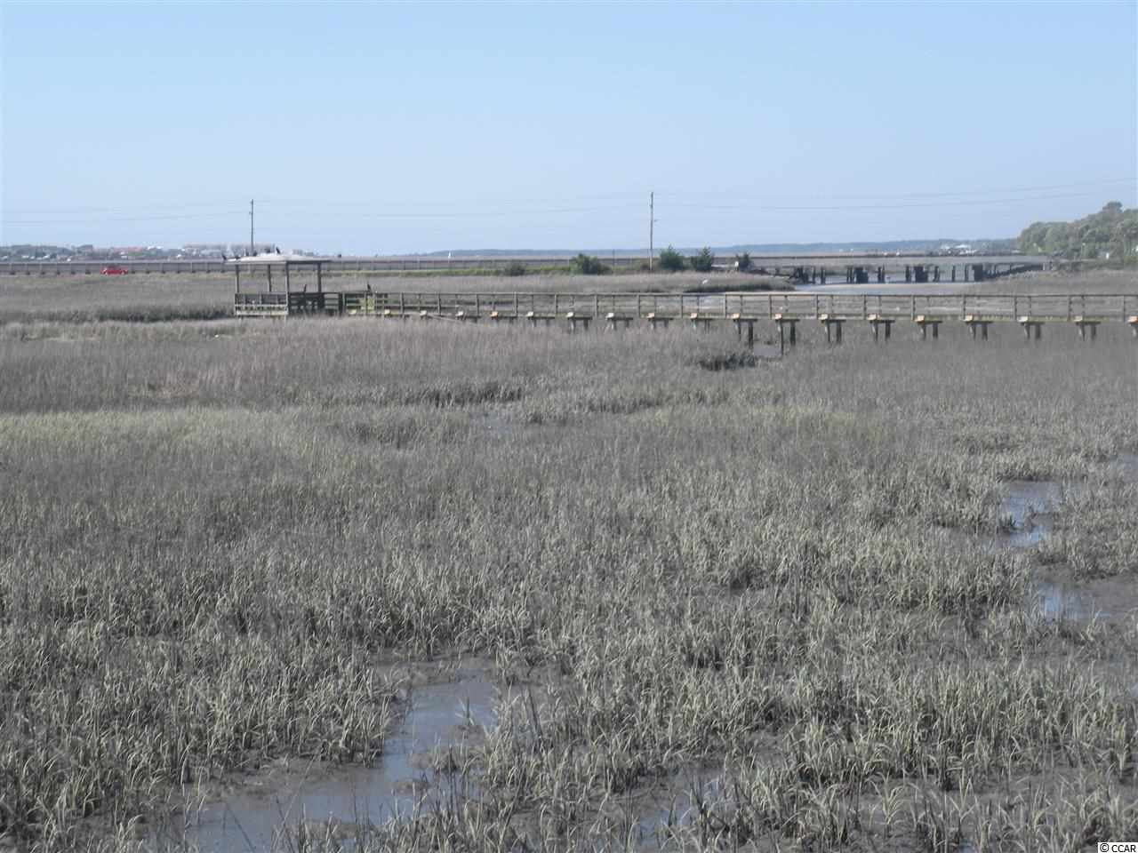 Lot 5 1st Street Murrells Inlet, SC 29576 - Photo 13 of 25 Gallery Image 13