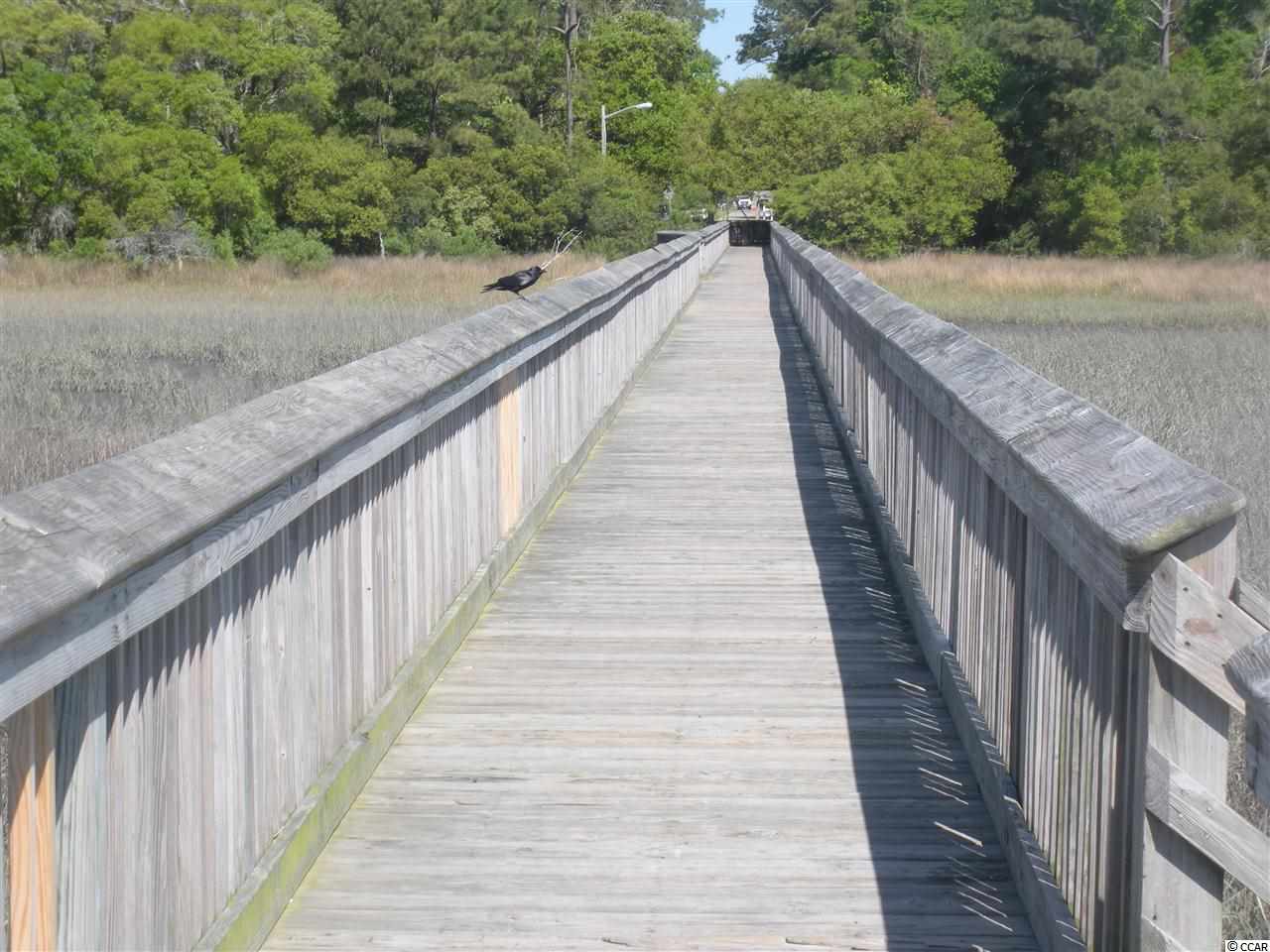 Lot 5 1st Street Murrells Inlet, SC 29576 - Photo 16 of 25 Gallery Image 16