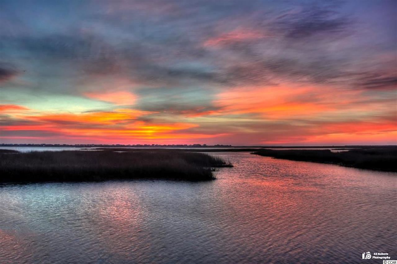 Lot 5 1st Street Murrells Inlet, SC 29576 - Photo 21 of 25 Gallery Image 21