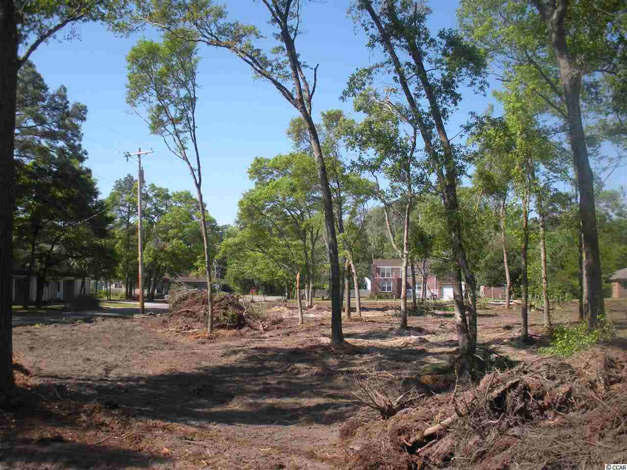 Lot 5 1st Street Murrells Inlet, SC 29576 - Photo 9 of 25 Gallery Image 9