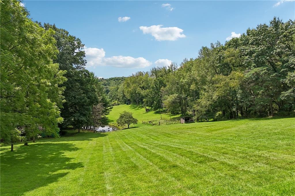 316 Orr Avenue Apollo, PA 15613 - Photo 39 of 47 a view of a big yard with a large trees