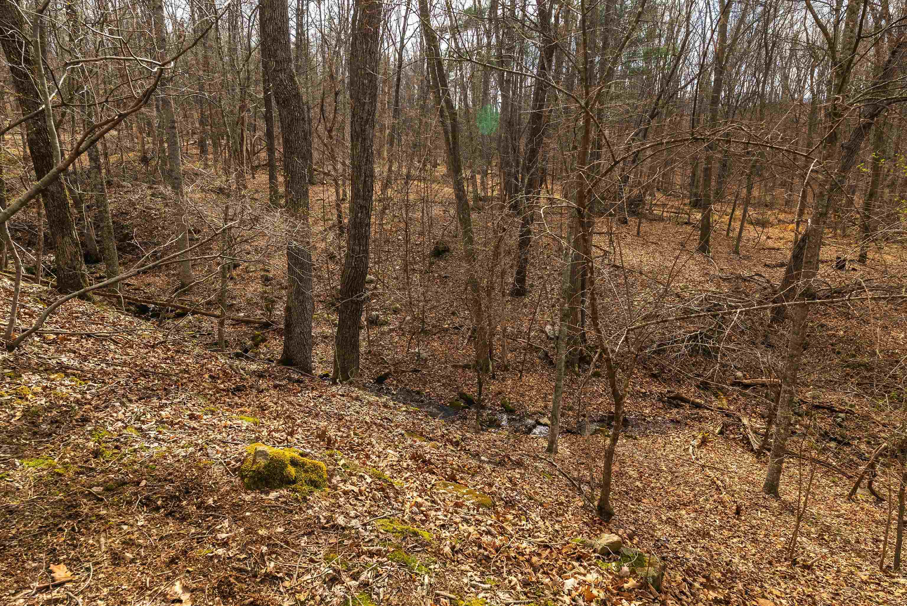 81.5-acres Hopkins Gap Road Fulks Run, VA 22830 - Photo 16 of 59