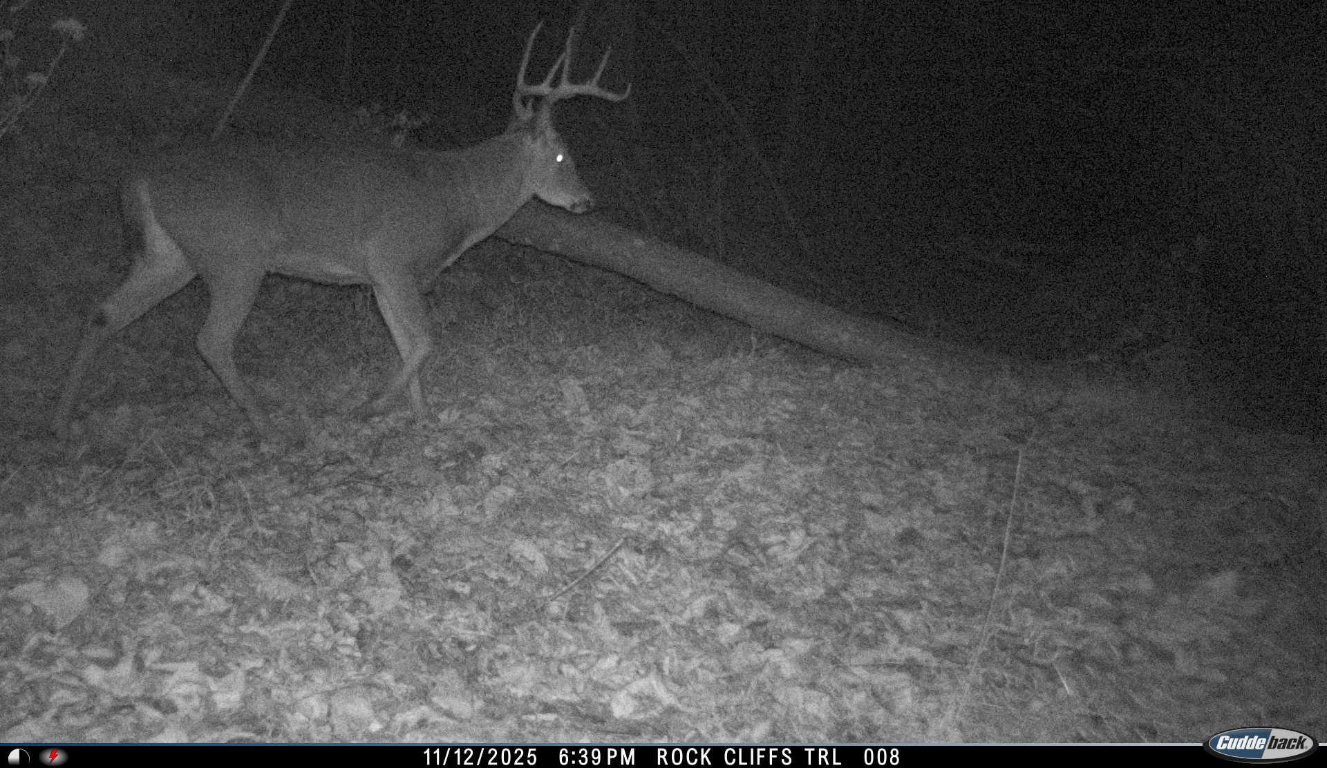 81.5-acres Hopkins Gap Road Fulks Run, VA 22830 - Photo 18 of 59