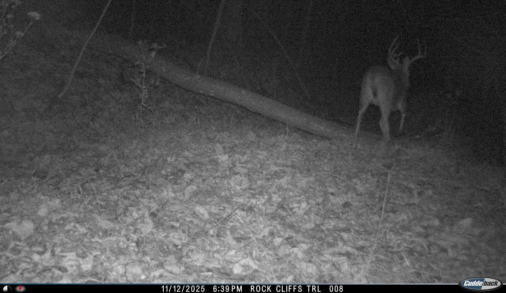 81.5-acres Hopkins Gap Road Fulks Run, VA 22830 - Photo 20 of 59