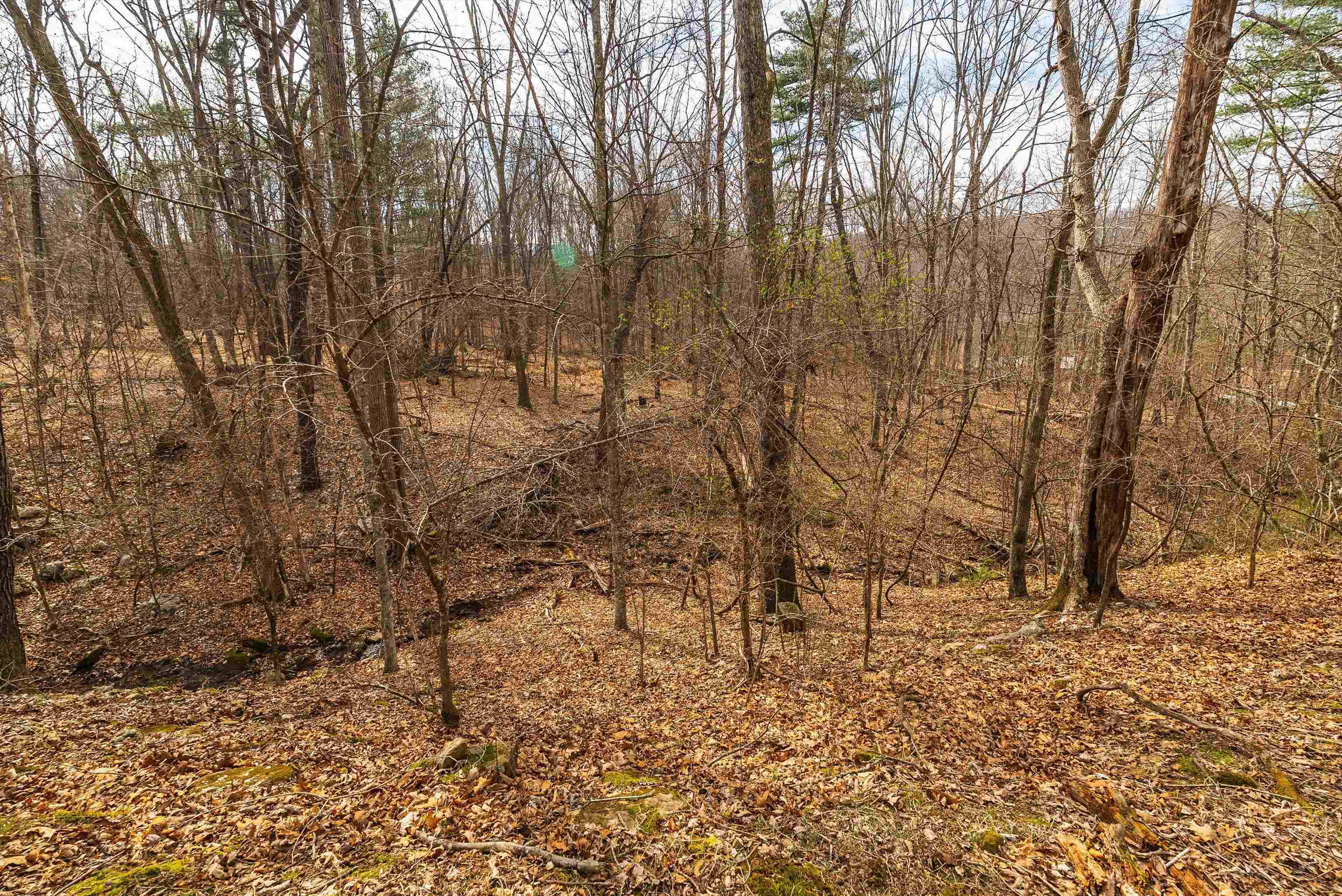 81.5-acres Hopkins Gap Road Fulks Run, VA 22830 - Photo 40 of 59