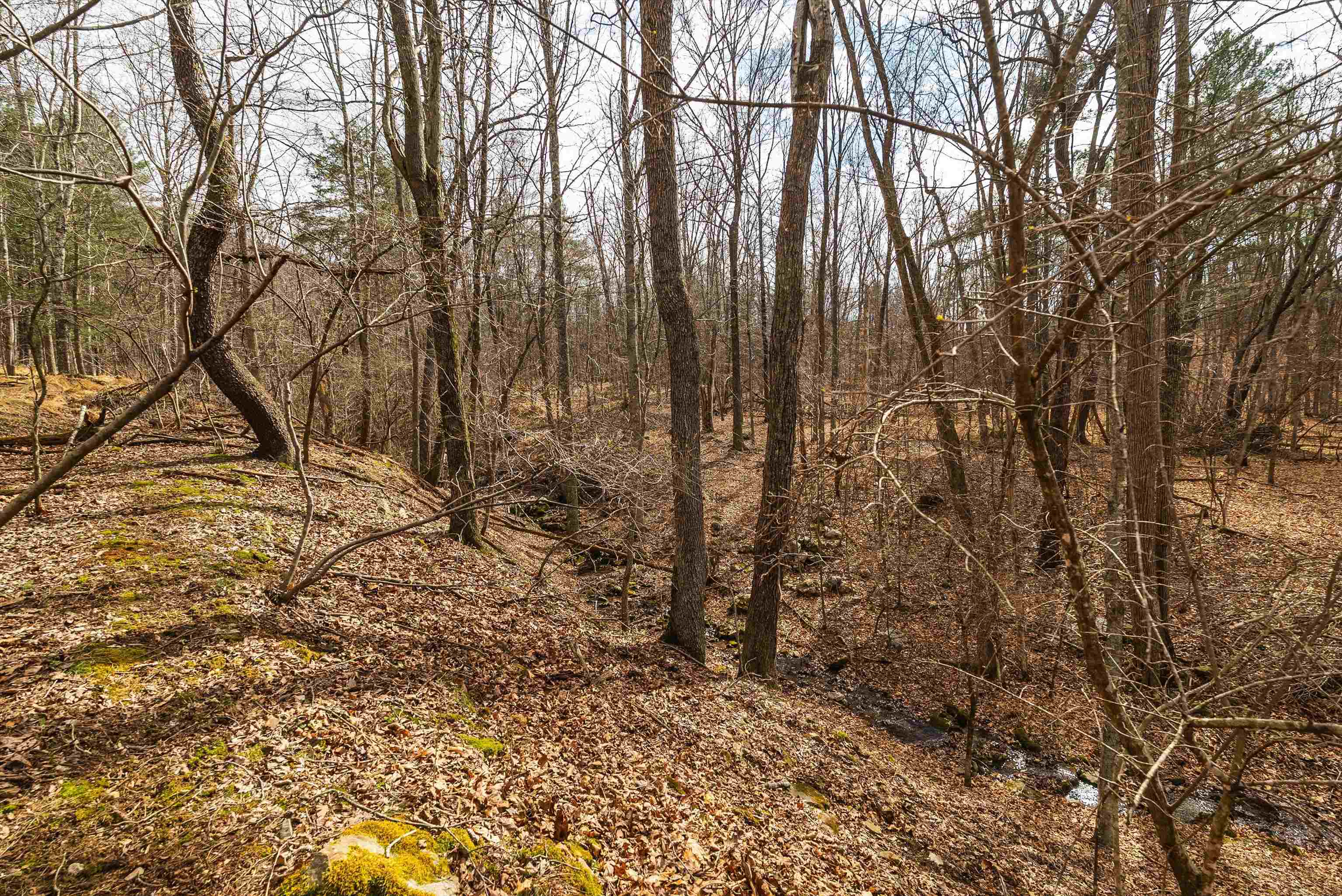 81.5-acres Hopkins Gap Road Fulks Run, VA 22830 - Photo 41 of 59