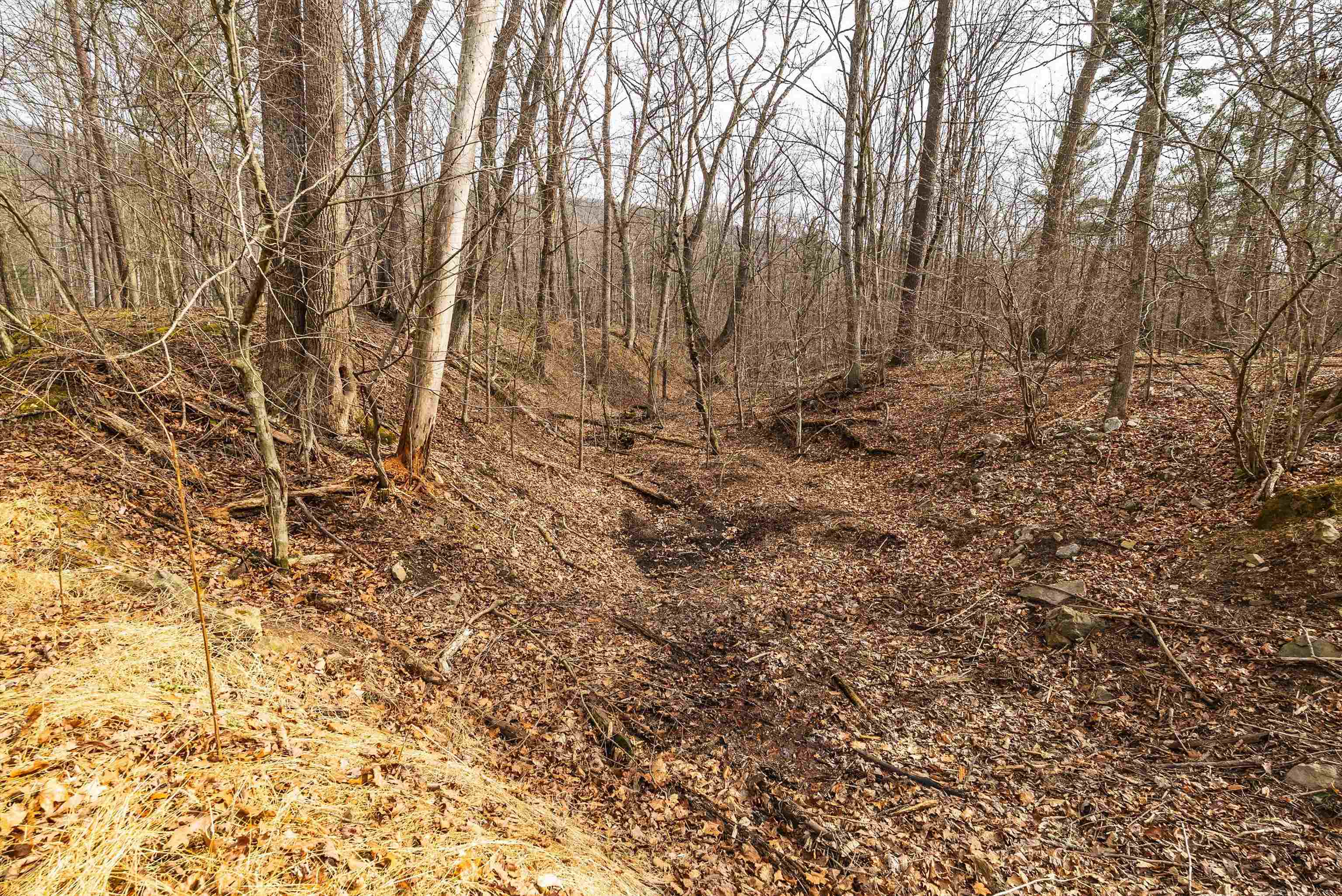 81.5-acres Hopkins Gap Road Fulks Run, VA 22830 - Photo 42 of 59