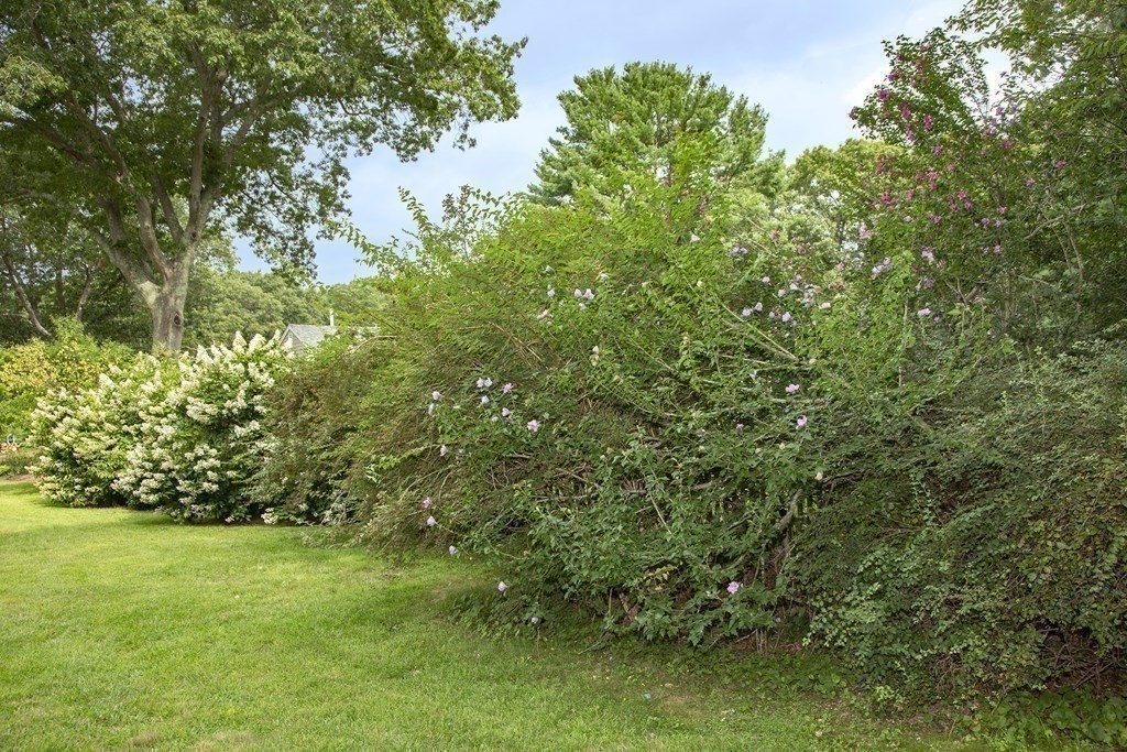 15 Amber Road Hingham, MA 02043 - Photo 32 of 34 Gallery Image 32