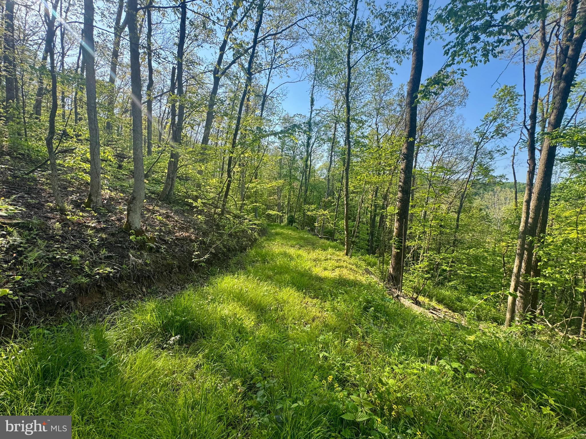 John Orr Road Independence, WV 26374 - Photo 29 of 37