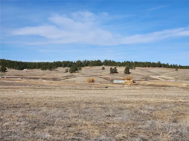 $1,300,000 | 11866 Alamar Way, Colorado Springs, CO 80908