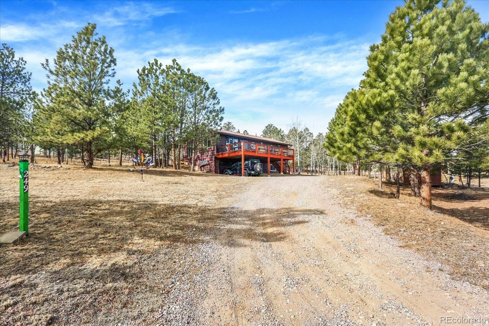 249 Burland Drive Bailey, CO 80421 - Photo 34 of 34 a view of road with large trees