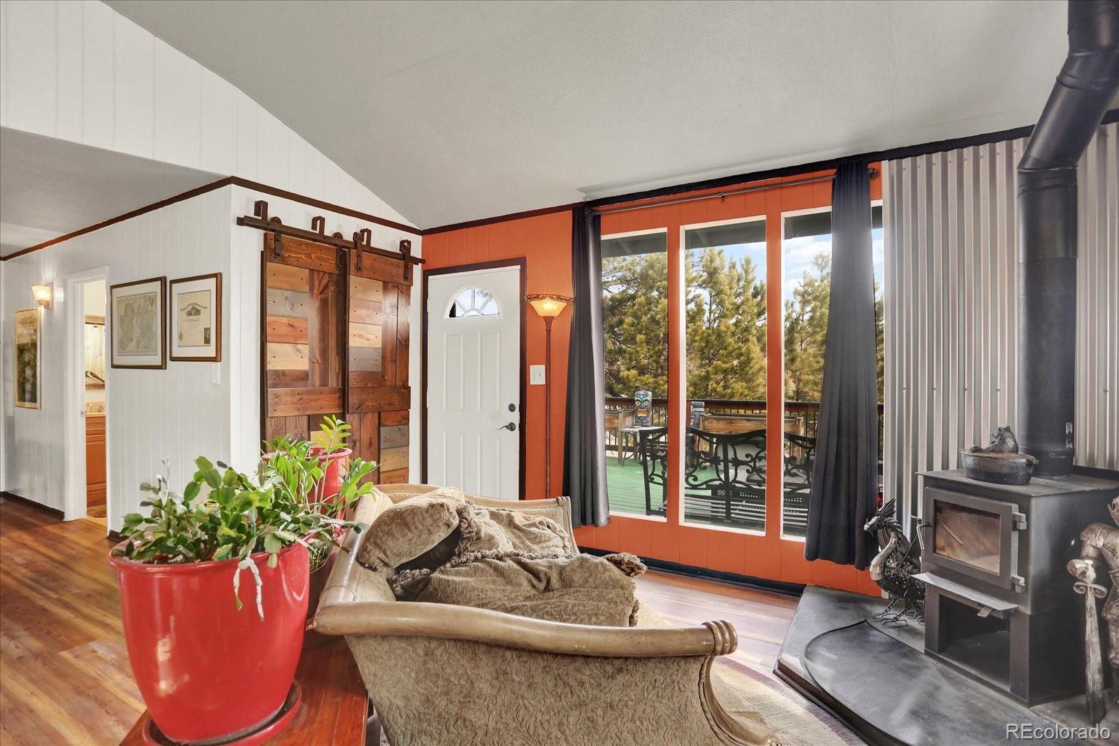 249 Burland Drive Bailey, CO 80421 - Photo 5 of 34 a living room with furniture and a potted plant