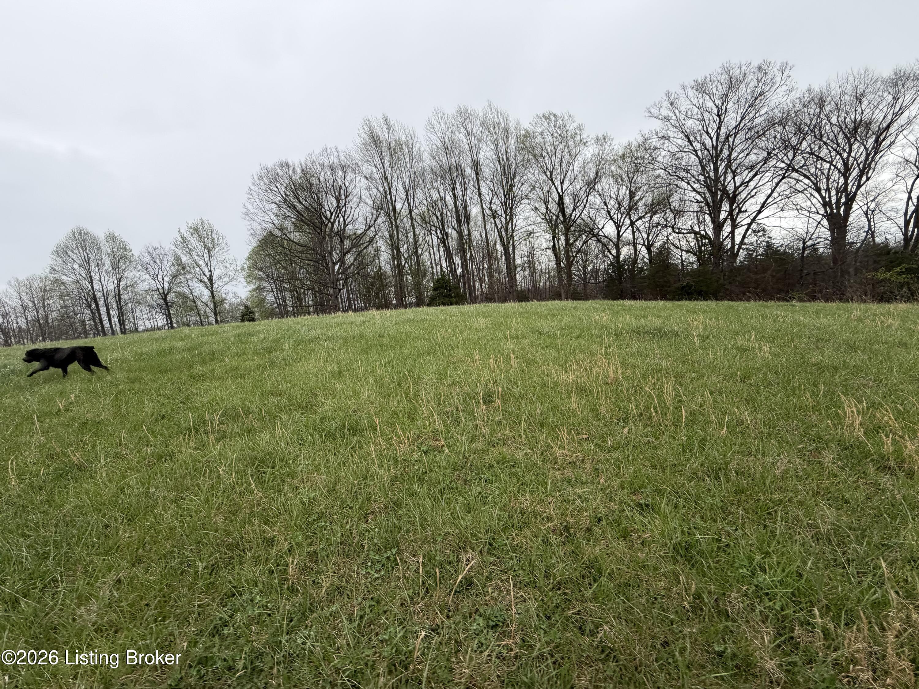 2 Mc Dowell Road Bedford, KY 40006 - Photo 8 of 11 IMG_2114