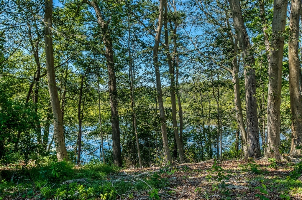 36 Carl Road Raynham, MA 02767 - Photo 33 of 39