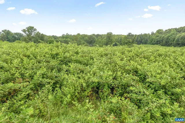 $750,000 | 5039 James Madison Highway, Fork Union, VA 23055