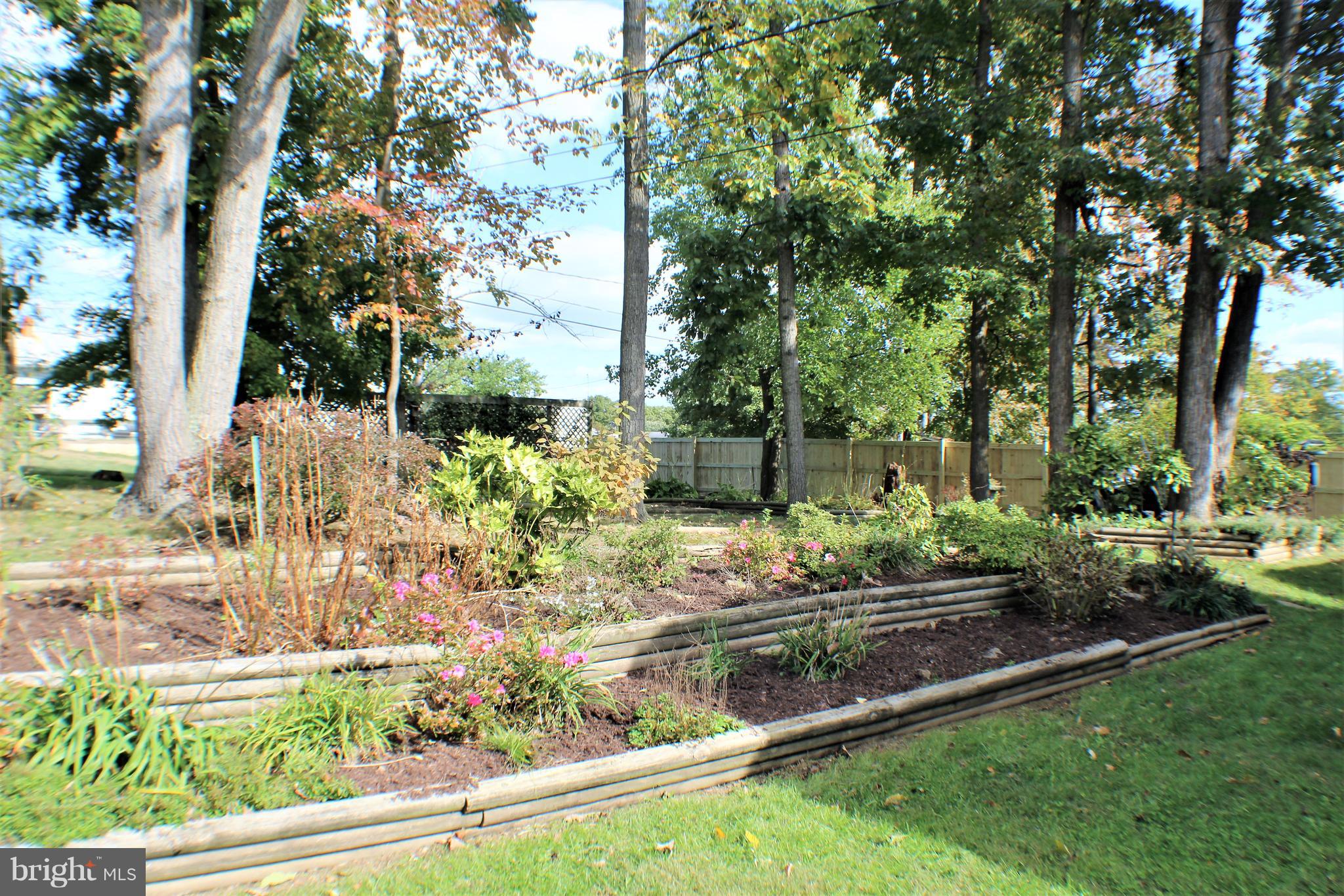 627 Hornbeam Road Edgewood, MD 21040 - Photo 7 of 46 Summer Photo of Gardens.