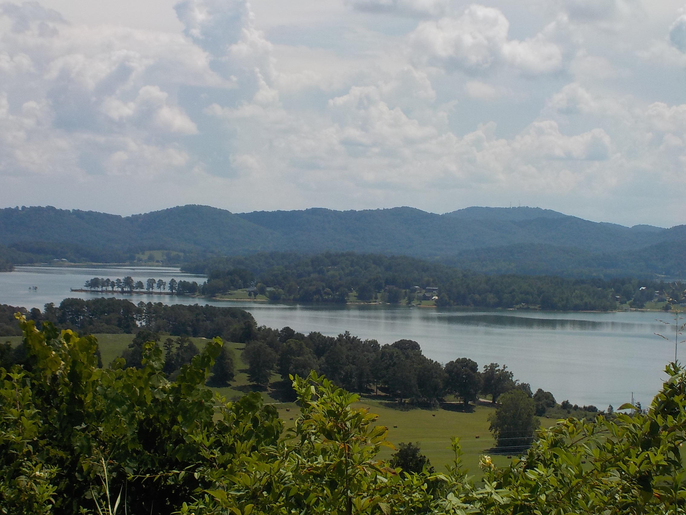 33 Logans Bluff Bean Station, TN 37708 - Photo 1 of 13 010