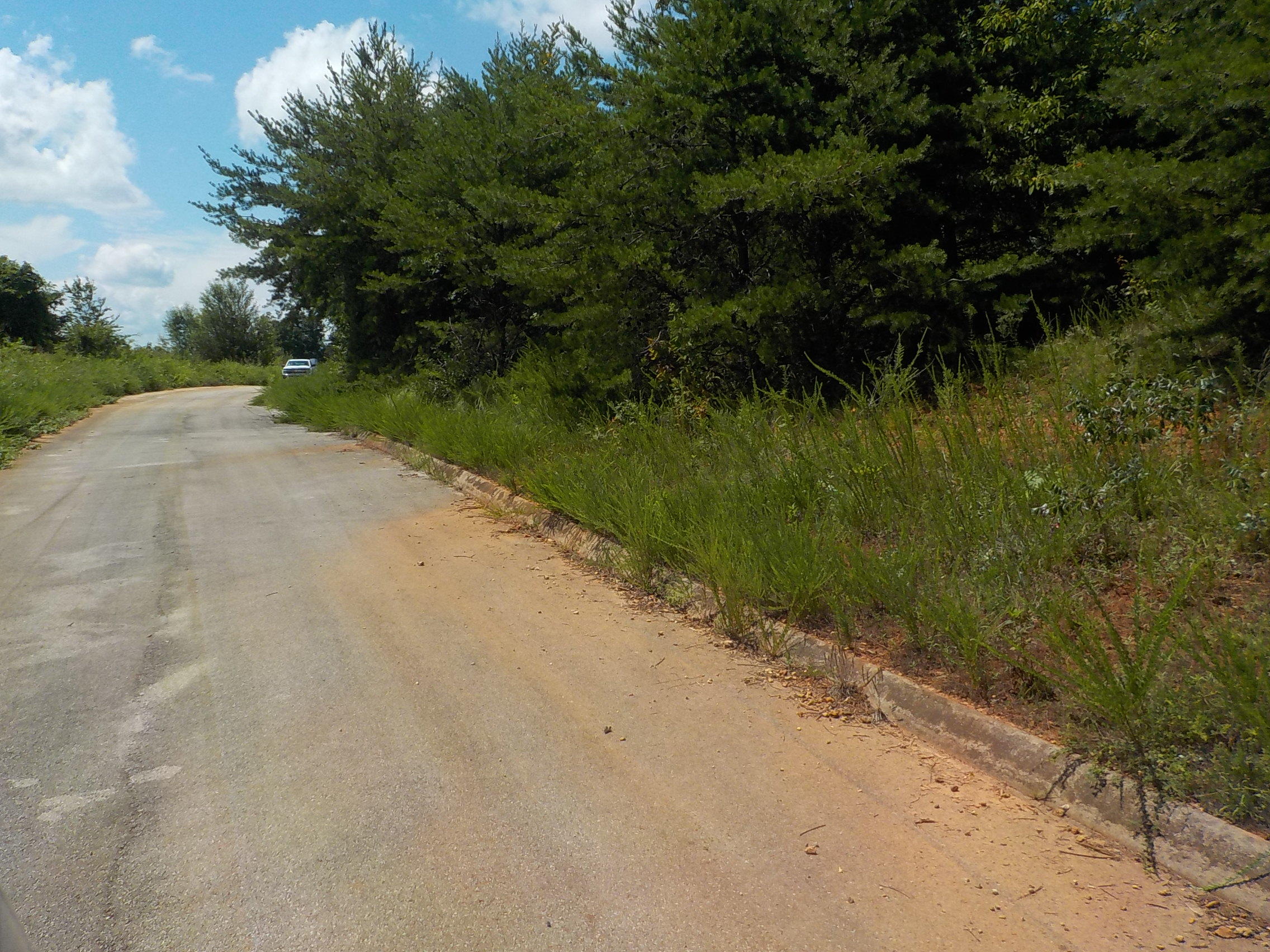 33 Logans Bluff Bean Station, TN 37708 - Photo 12 of 13 003