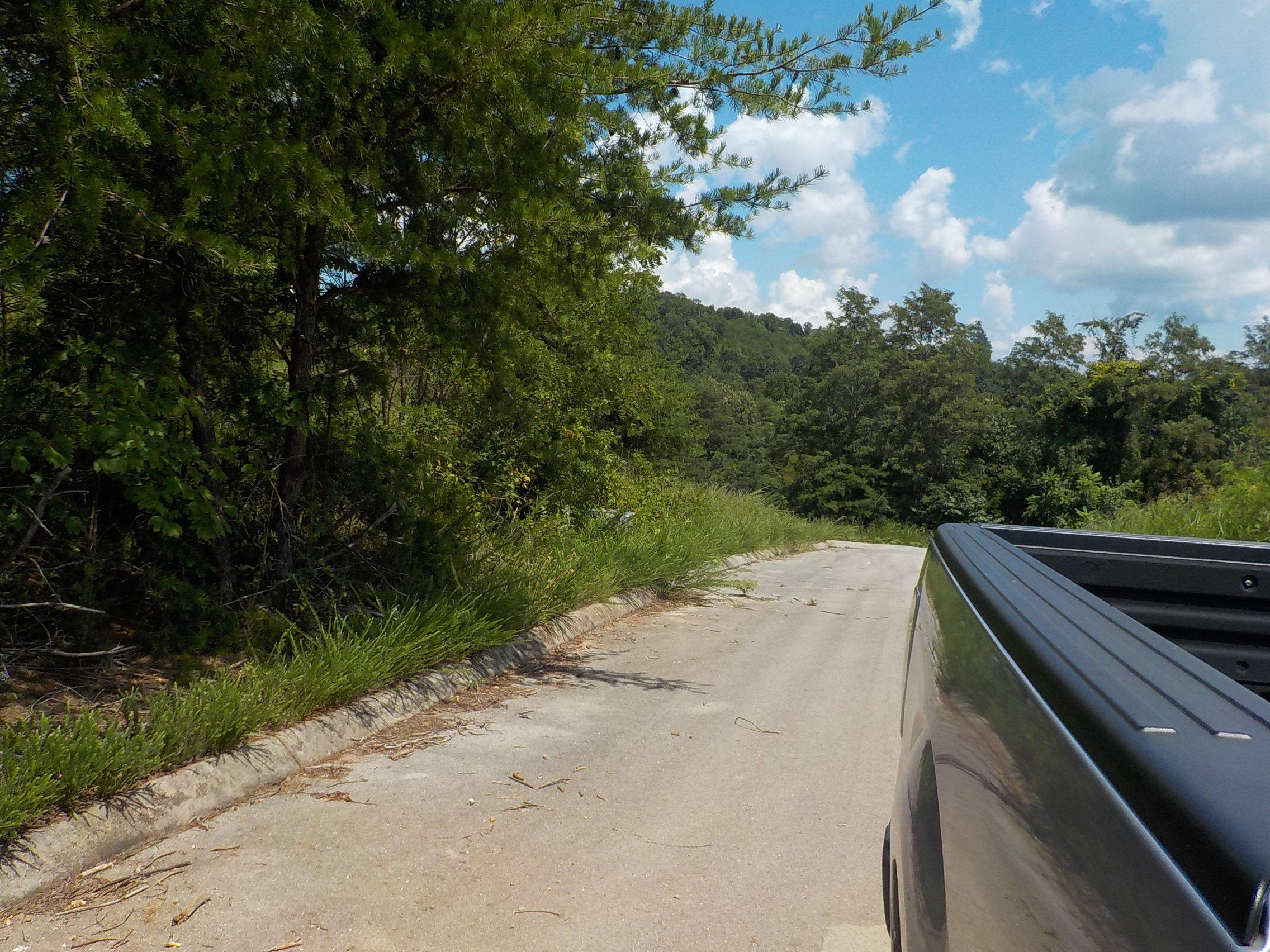 33 Logans Bluff Bean Station, TN 37708 - Photo 13 of 13 004