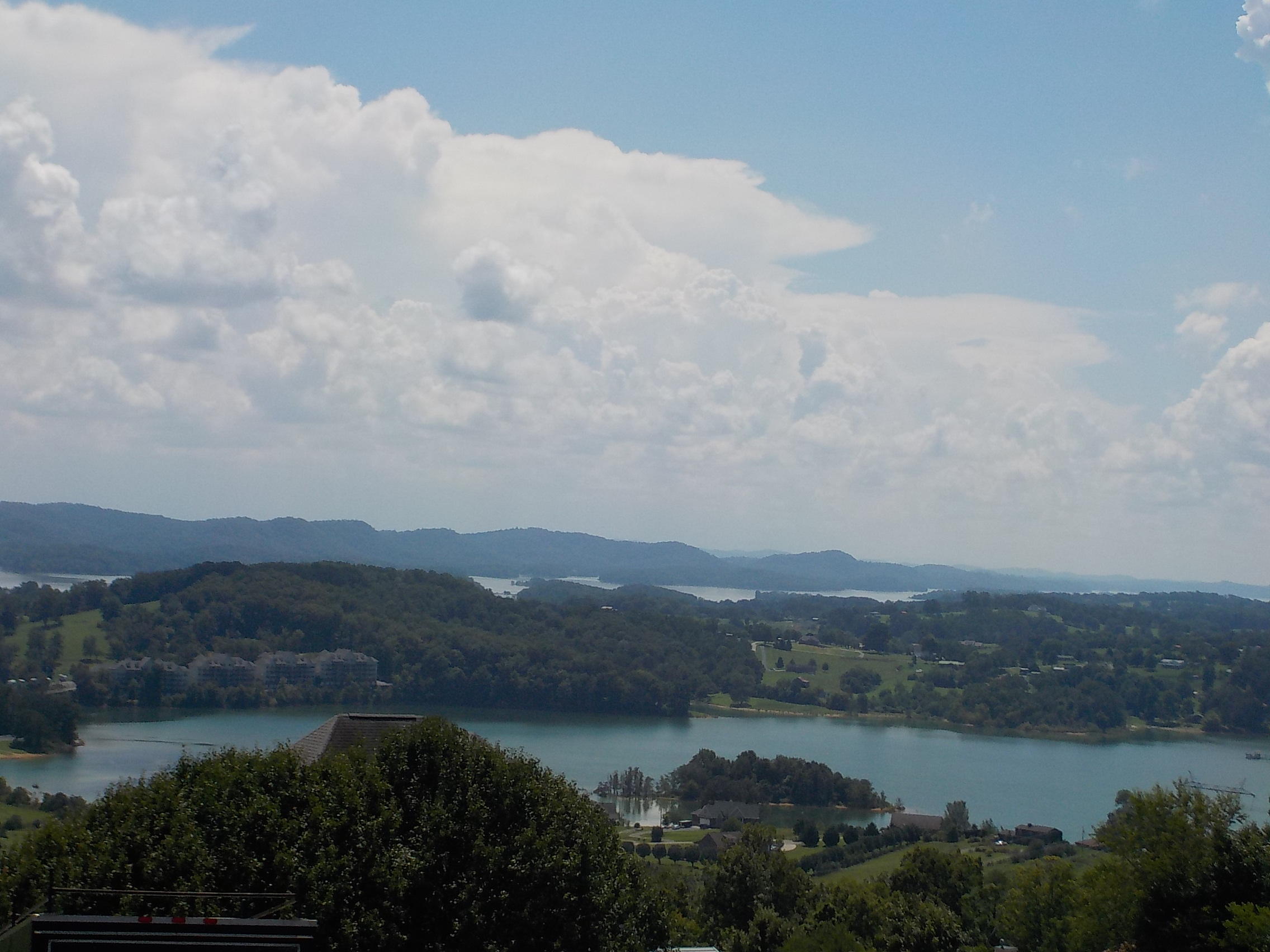 33 Logans Bluff Bean Station, TN 37708 - Photo 4 of 13 013