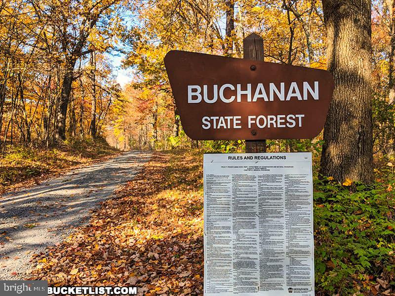 5735 Chaneysville Road Clearville, PA 15535 - Photo 25 of 25 State Forest Nearby