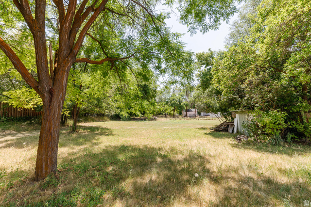 342 East 600 North Logan, UT 84321 - Photo 19 of 23 Expansive outdoor space featuring a mature shade tree, a wide grassy area, and perimeter foliage