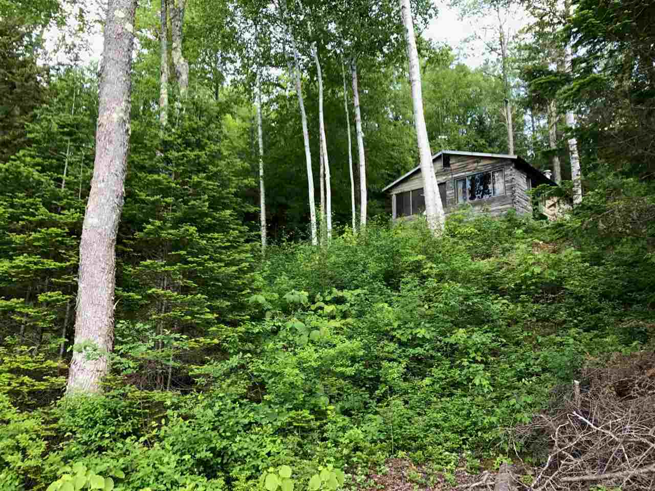 3533 Stinson Lake Road Ellsworth, NH 03223 - Photo 13 of 14 Gallery Image 13