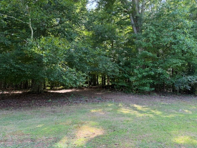 1528 West Alexander Road Greenwood, SC 29646 - Photo 5 of 12