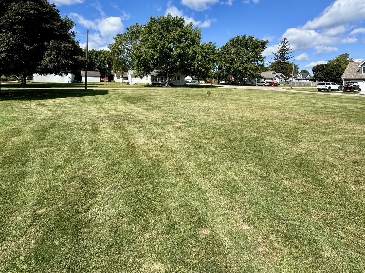 302 East Harrison Street Ransom, IL 60470 - Photo 6 of 19 a view of a swimming pool and trees in the background