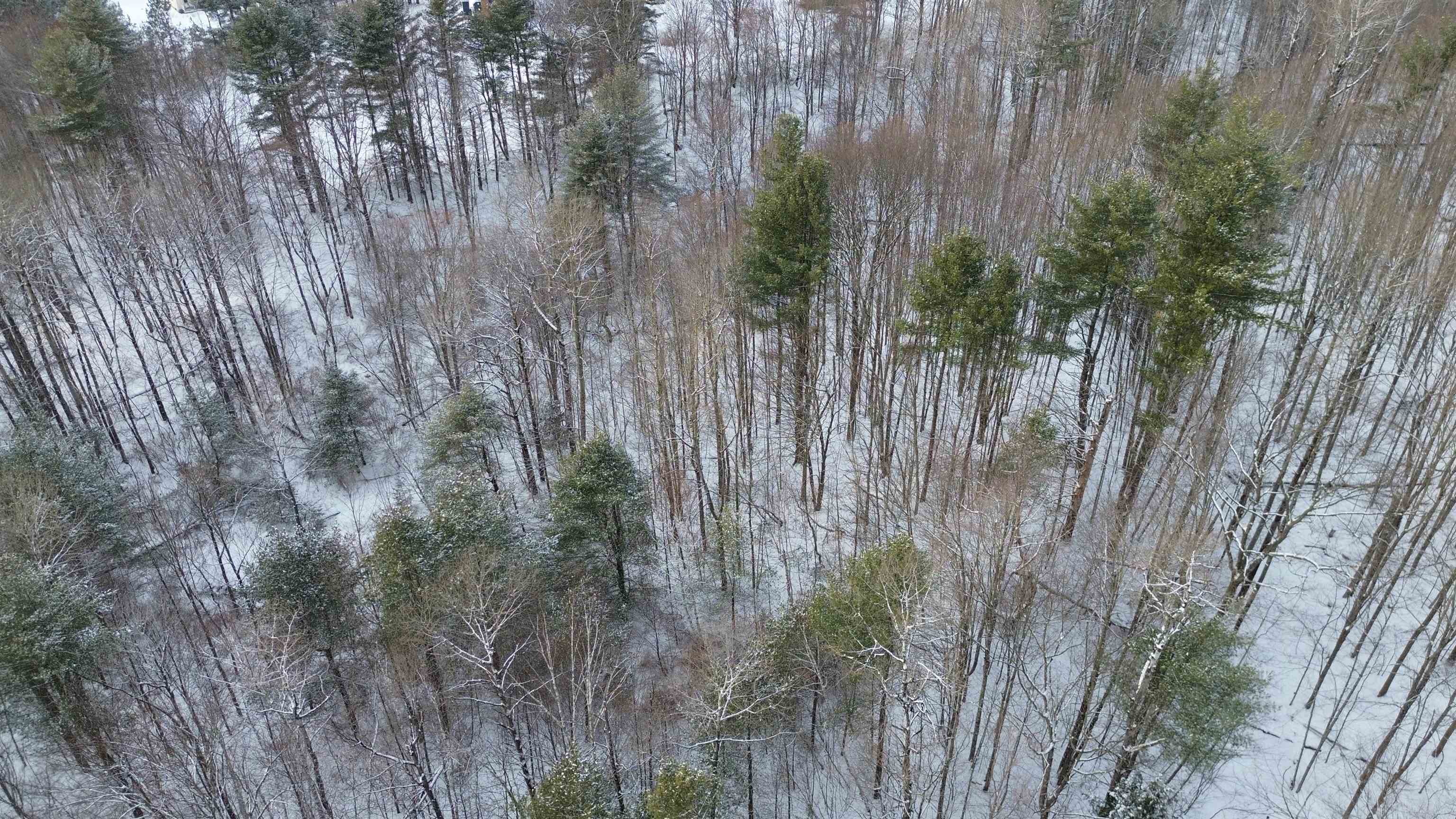 7 Sugarhill Road Underhill, VT 05489 - Photo 2 of 4