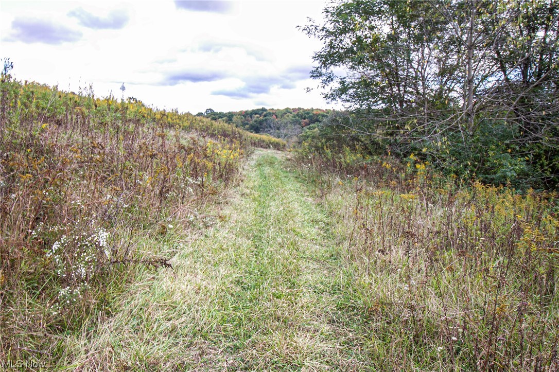 0 Couch Road Jewett, OH 43986 - Photo 12 of 34 View of nature