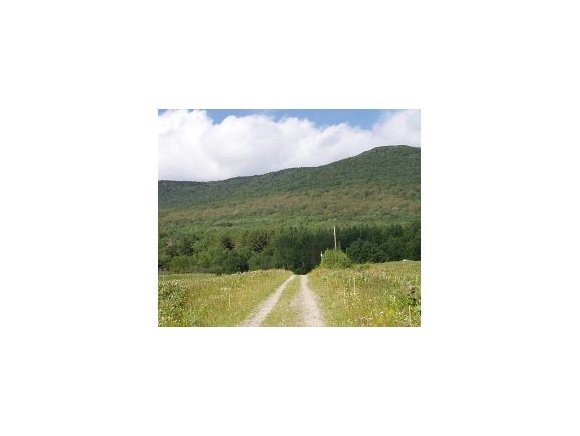 Cape Lookoff Road Goshen, VT 05733 - Photo 1 of 1