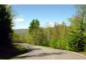 50 Deacon Willey Road Campton, NH 03223 - Photo 4 of 5