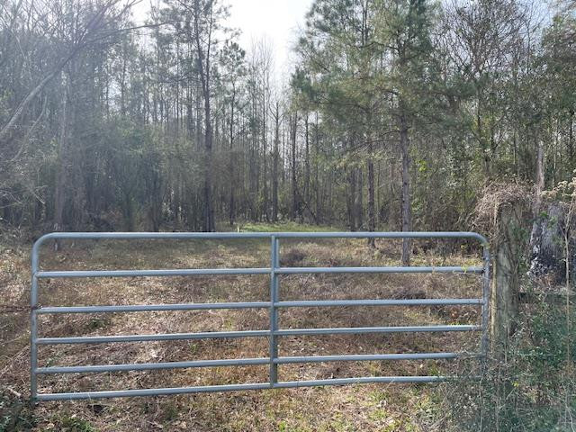 0 Mt Herman Road Osyka, MS 39657 - Photo 1 of 5 Main View