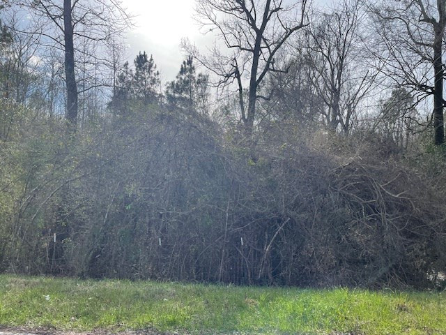 0 Mt Herman Road Osyka, MS 39657 - Photo 2 of 5 Photo 2