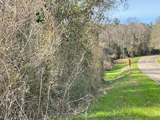 0 Mt Herman Road Osyka, MS 39657 - Photo 3 of 5 Photo 3