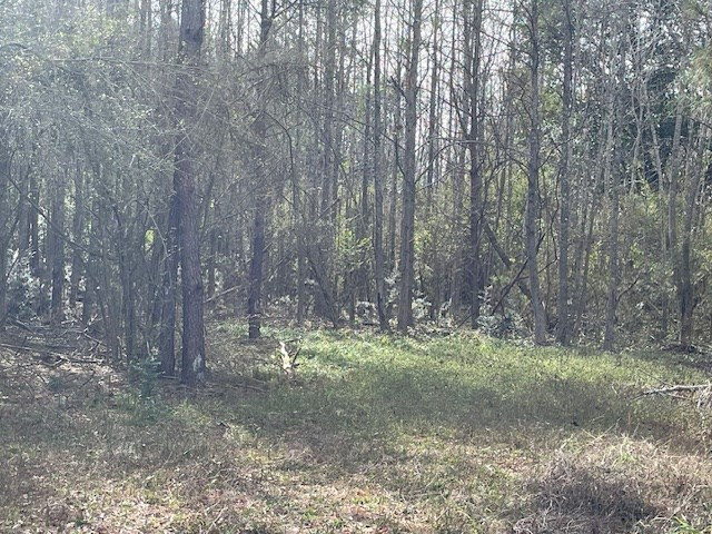 0 Mt Herman Road Osyka, MS 39657 - Photo 4 of 5 Photo 4