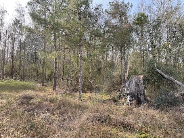 0 Mt Herman Road Osyka, MS 39657 - Photo 5 of 5 Photo 5