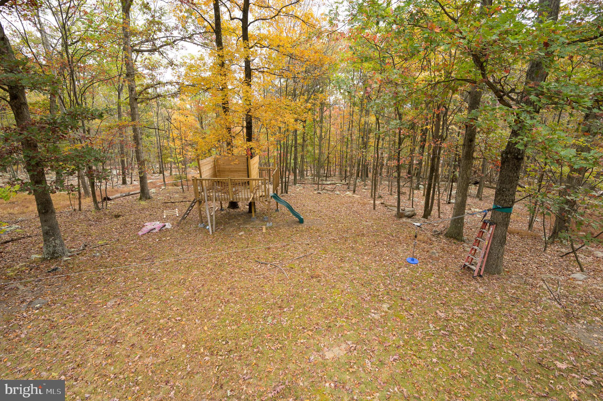 456 Parkside Terrace Berkeley Springs, WV 25411 - Photo 13 of 102 a view of outdoor space with trees