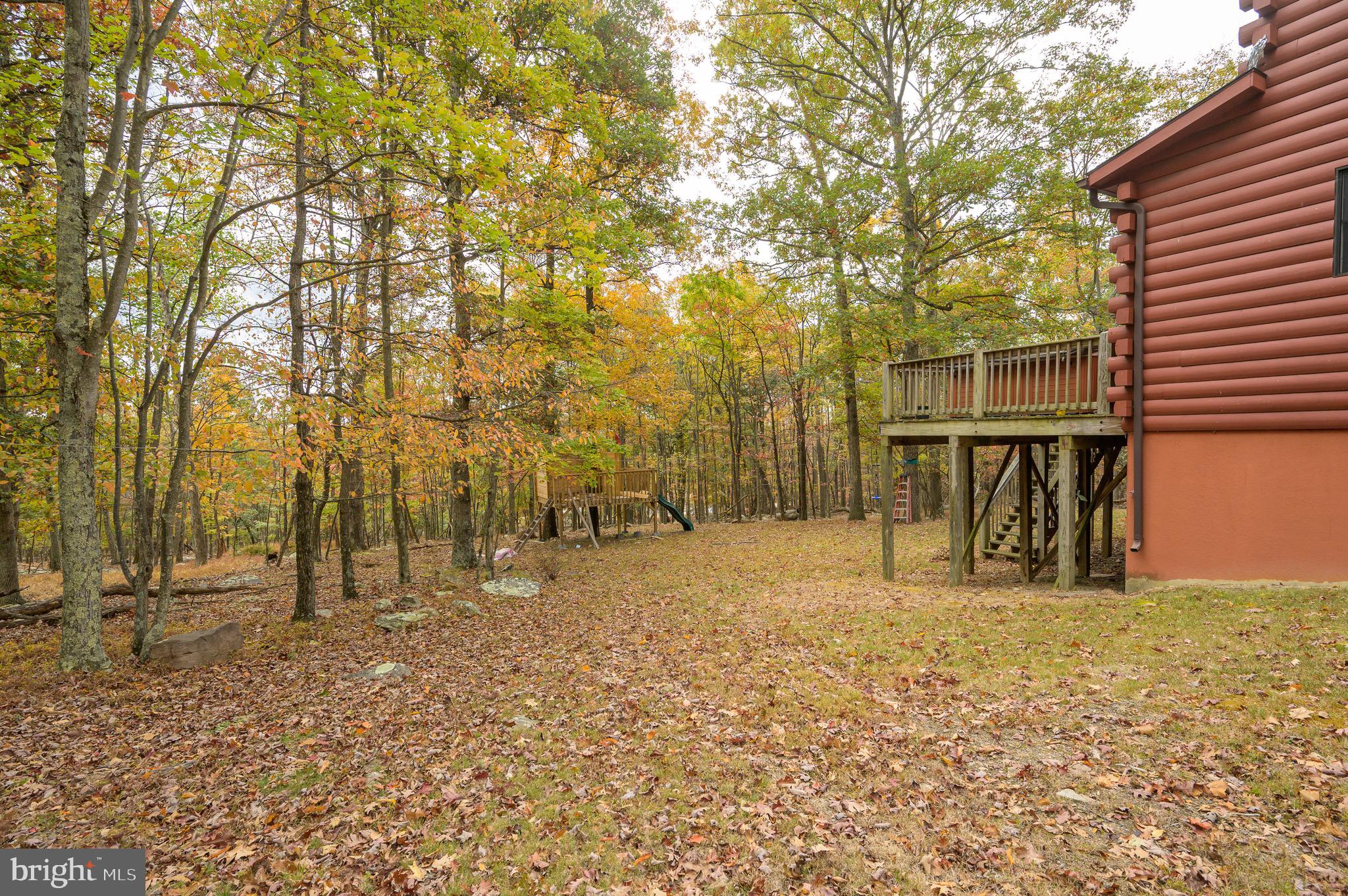 456 Parkside Terrace Berkeley Springs, WV 25411 - Photo 5 of 102 a view of a yard with large trees