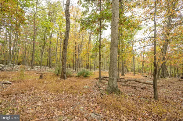 a view of balcony with wooden floor and outdoor seating