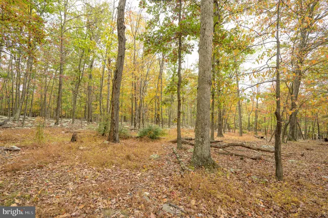 a view of balcony with wooden floor and outdoor seating