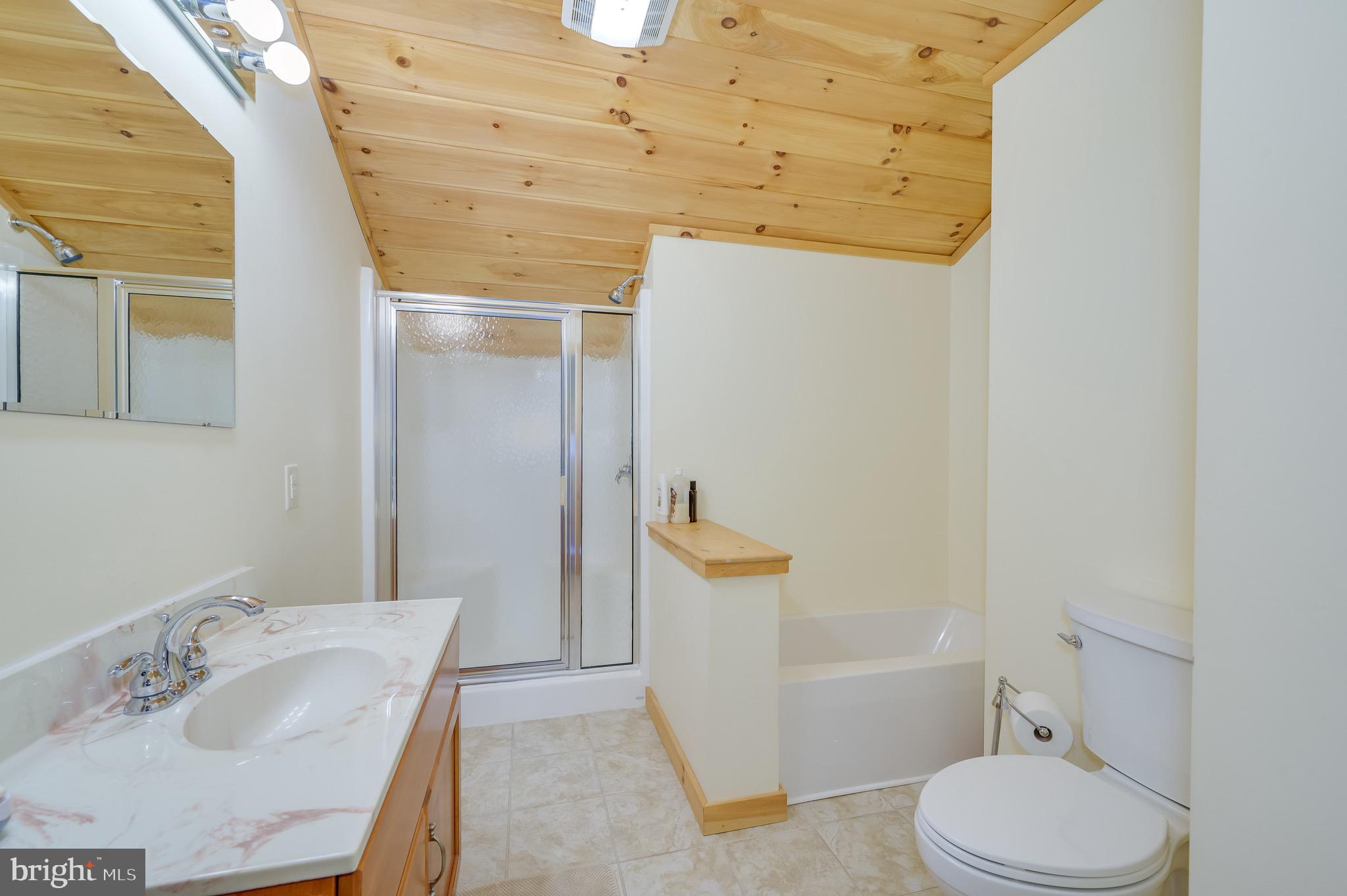 456 Parkside Terrace Berkeley Springs, WV 25411 - Photo 70 of 102 a bathroom with a sink and toilet