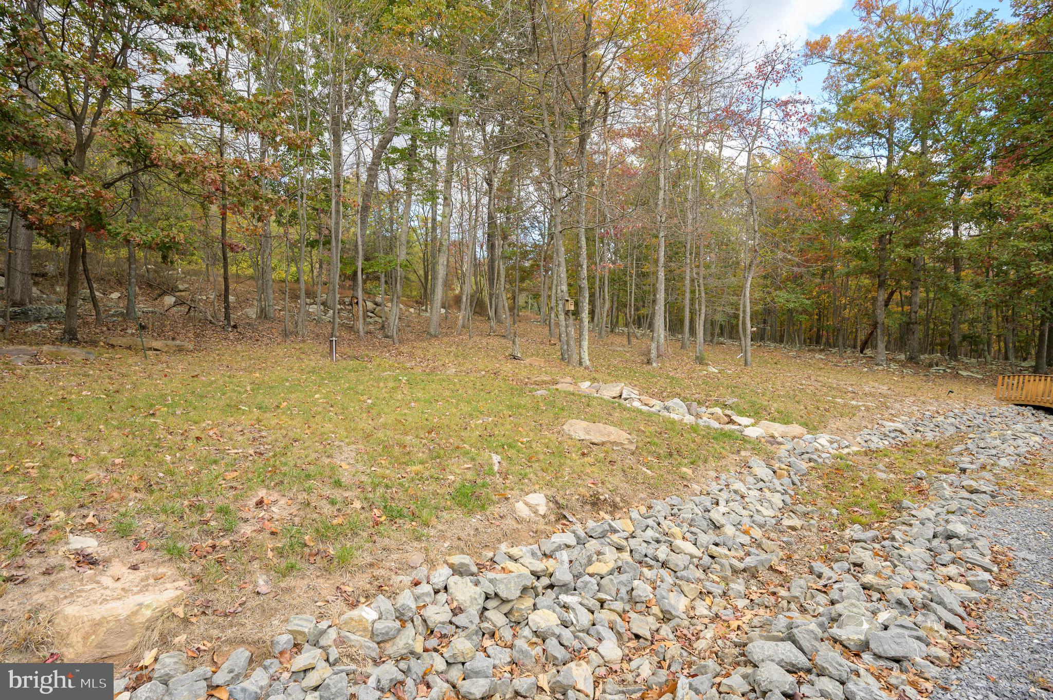 456 Parkside Terrace Berkeley Springs, WV 25411 - Photo 84 of 102 a view of a yard with trees in the background