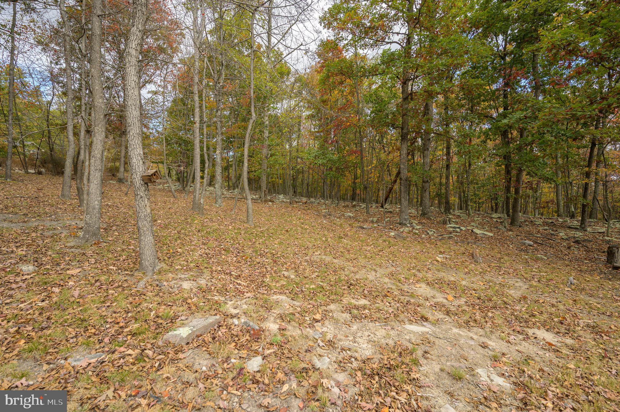 456 Parkside Terrace Berkeley Springs, WV 25411 - Photo 85 of 102 a view of empty room with trees