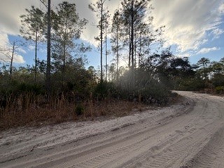 880 Still Road Pierson, FL 32180 - Photo 6 of 7