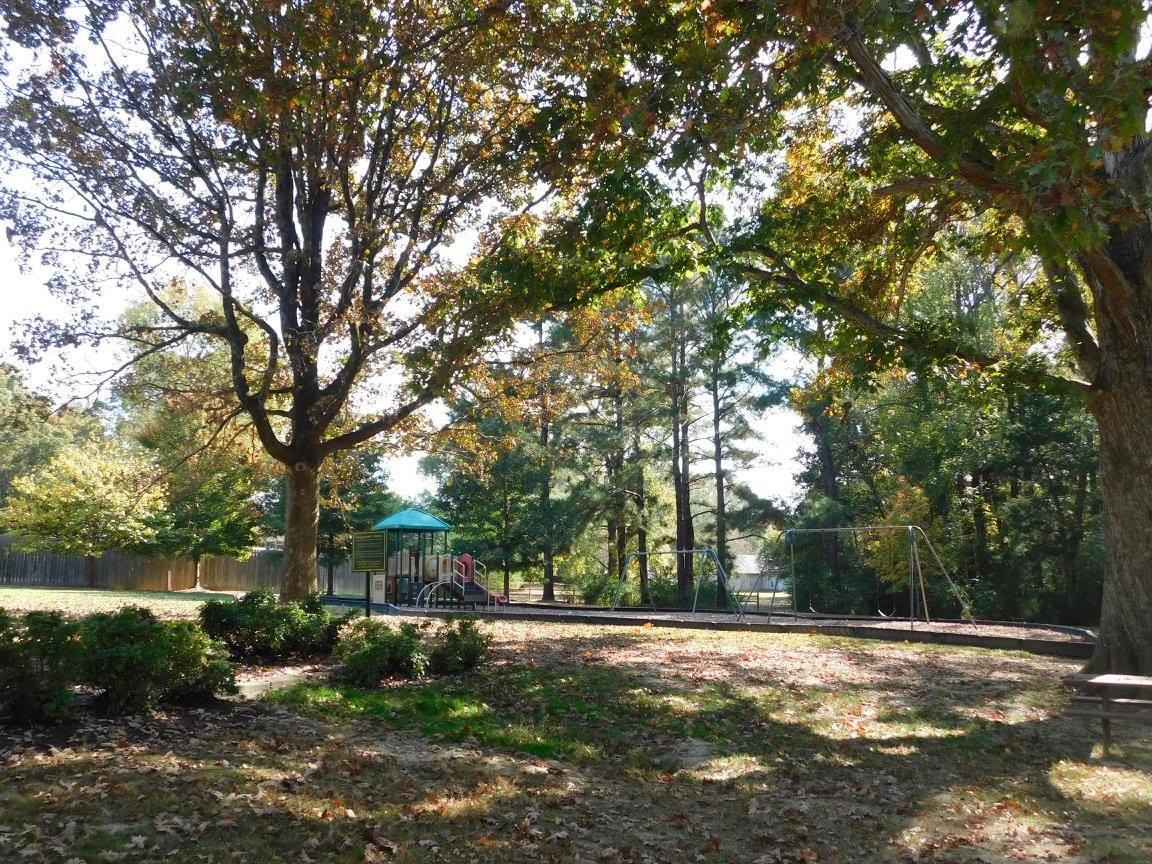 3079 Rising Sun Road, Unit 45 Lakeland, TN 38002 - Photo 40 of 40