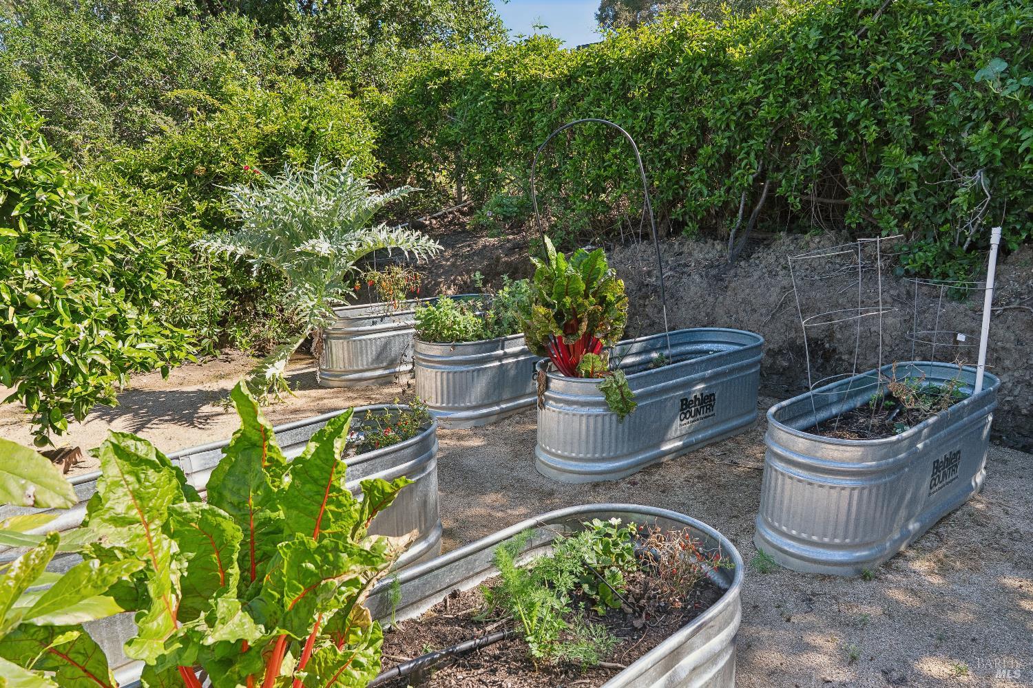 176 Highland Avenue San Rafael, CA 94901 - Photo 66 of 68